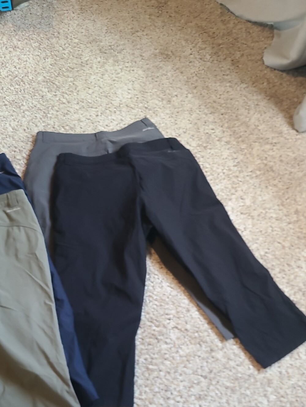 Eddie Bauer Women's Ankle & Cropped Pants in Black, Navy & Olive - Picture 3 of 6